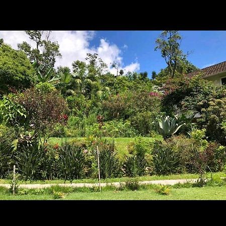 Casa Junto Ao Parque Villa Teresópolis Екстериор снимка
